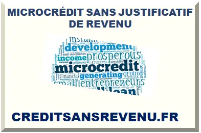 MICROCRÉDIT SANS REVENU